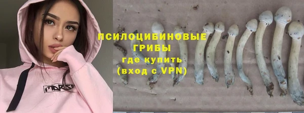mdma Пересвет