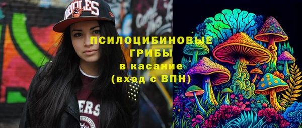дживик Баксан