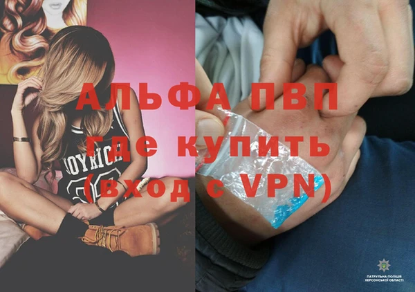 дживик Баксан