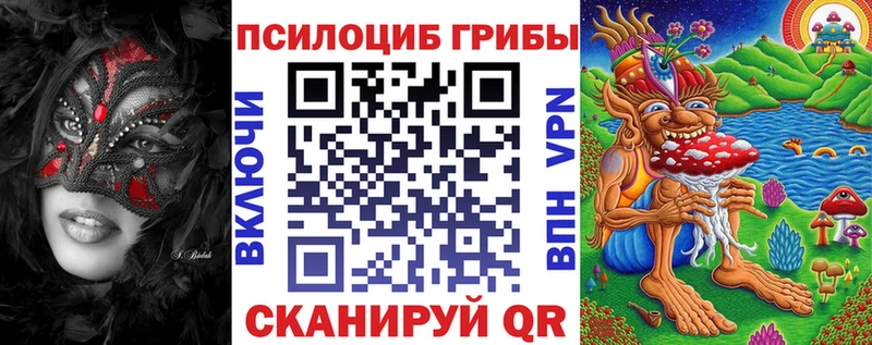 хочу   Вытегра  Галлюциногенные грибы GOLDEN TEACHER 